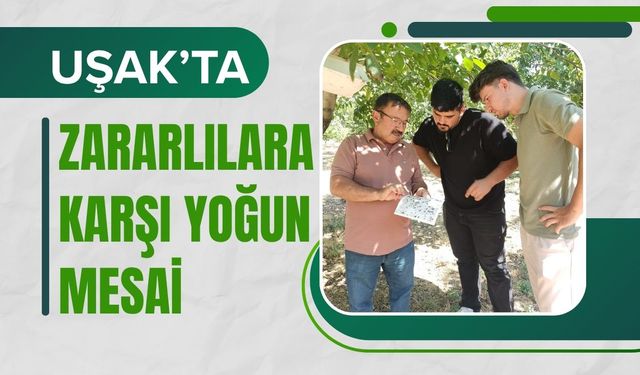 Uşak’ta Zararlılara Karşı Yoğun Mesai