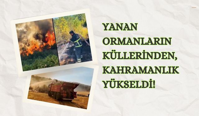 Yanan Ormanların Küllerinden, Kahramanlık Yükseldi!
