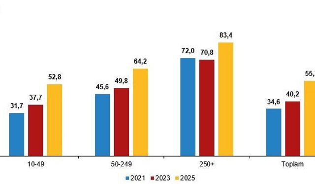 Girişimlerde İnternet, E-Satış ve Dijitalleşme Arttı