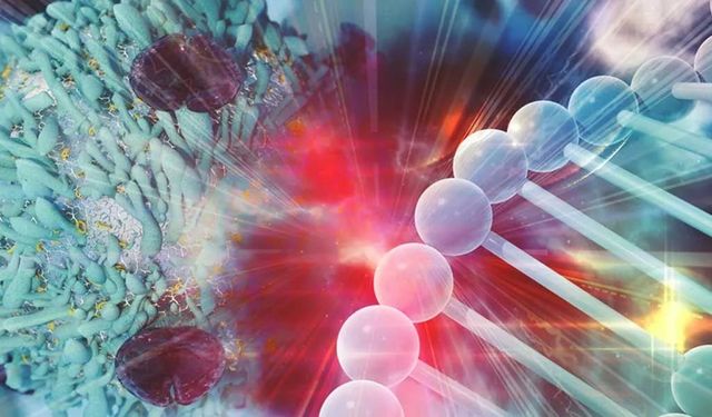 Yeni Kanser Tedavisinde Umut Veren Gelişme