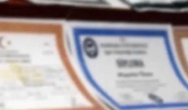 Sahte Diploma Davasında 134 Sanık Hakim Karşısında