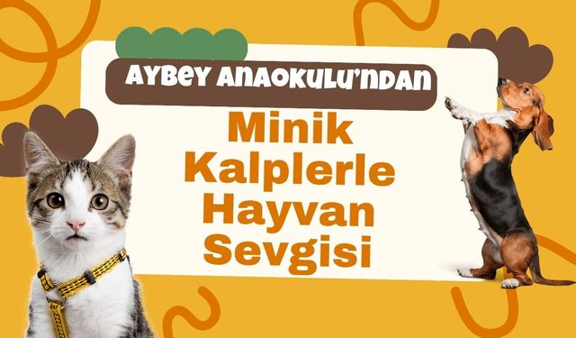 Aybey Anaokulu’ndan Minik Kalplerle Hayvan Sevgisi