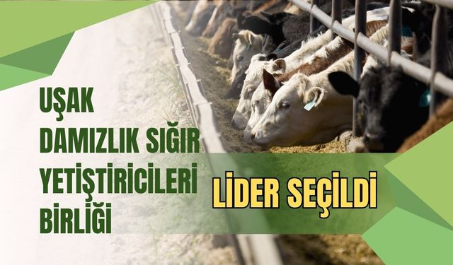 Uşak Damızlık Sığır Yetiştiricileri Birliği Lider Seçildi