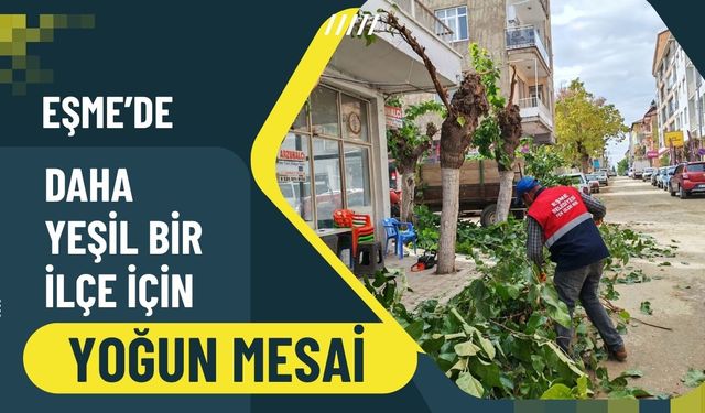 Eşme’de Daha Yeşil Bir İlçe İçin Yoğun Mesai