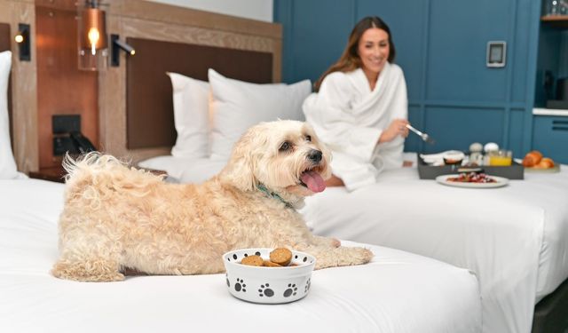 Hilton 2026 Trend Raporu: Tatillerde Yeni Dönem Başlıyor