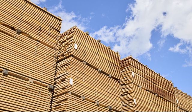 Amerikan sert ağaç ihracatı ODKA bölgesinde ivme kazandı