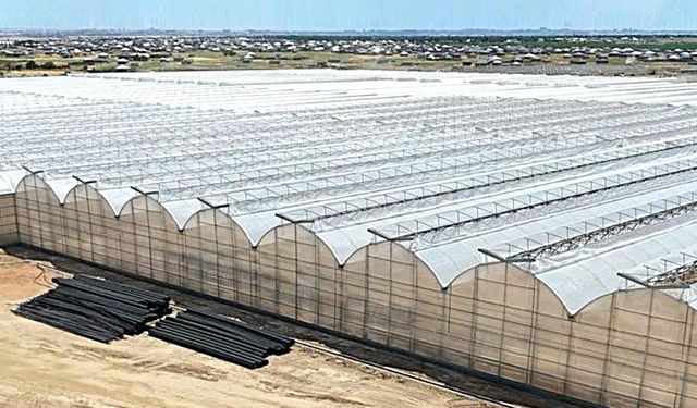 Kozanlar Jeotermal’in Kazakistan Serasında Mimsan İmzası