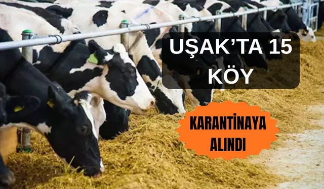 Uşak’ta Şap Alarmı: 15 Köyde Karantina Uygulaması Başladı