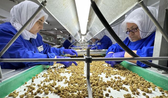 Türk Organik Sektörü Çin’le İş Birliğini Güçlendiriyor