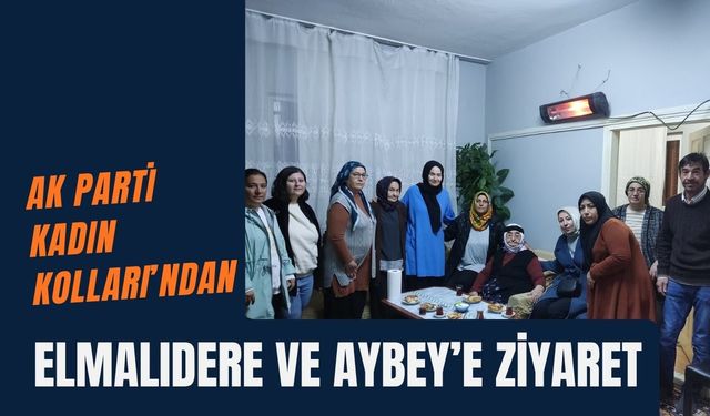 AK Parti Kadın Kolları’ndan Elmalıdere ve Aybey’e Ziyaret