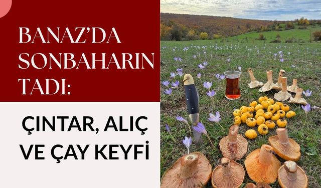 Banaz’da Sonbaharın Tadı: Çıntar, Alıç ve Çay Keyfi