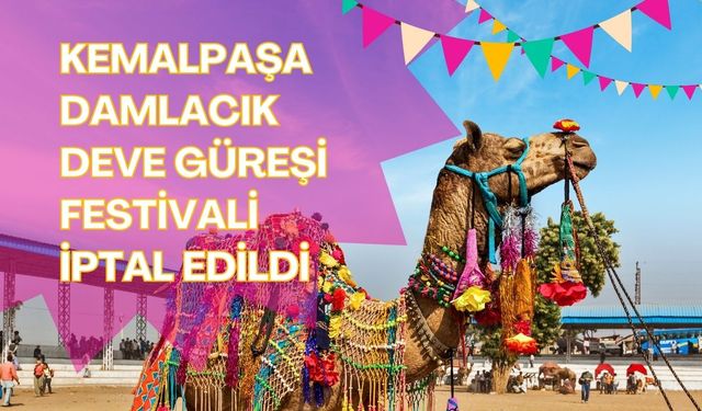 Kemalpaşa Damlacık Deve Güreşi Festivali İptal Edildi