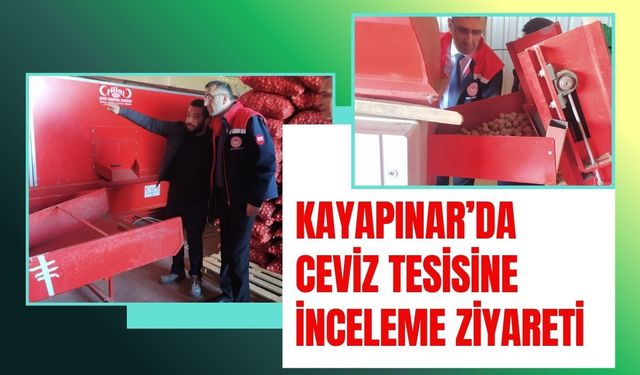 Kayapınar’da Ceviz Tesisine İnceleme Ziyareti