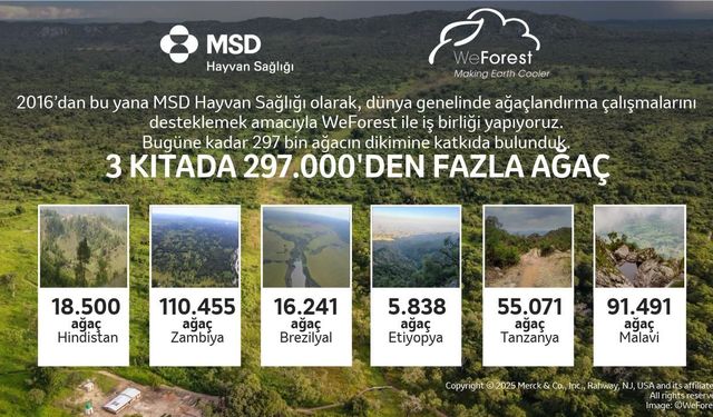 MSD Hayvan Sağlığı ve WeForest 297 Bin Ağaçla 10. Yılında