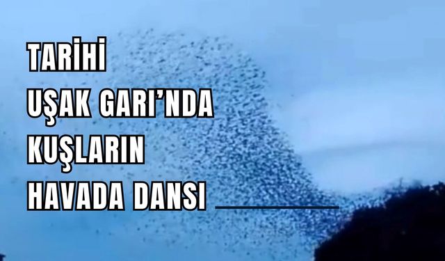 Tarihi Uşak Garı’nda Kuşların Havada Dansı