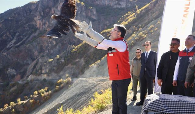 Munzur Vadisi’nde Yaşam Yeniden Canlandı