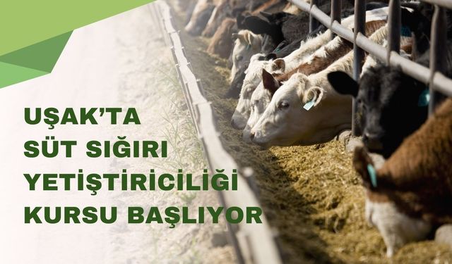Uşak’ta Süt Sığırı Yetiştiriciliği Kursu Başlıyor