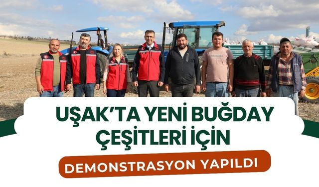 Uşak’ta Yeni Buğday Çeşitleri İçin Demonstrasyon Yapıldı