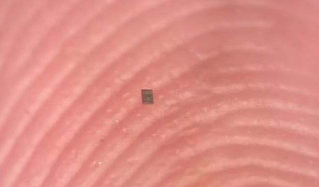 Tuz Tanesinden Küçük Dünyanın En Küçük Otonom Robotları