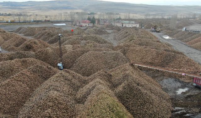 Sukkar Şeker 2025’te Üretim Gücünü Artırdı