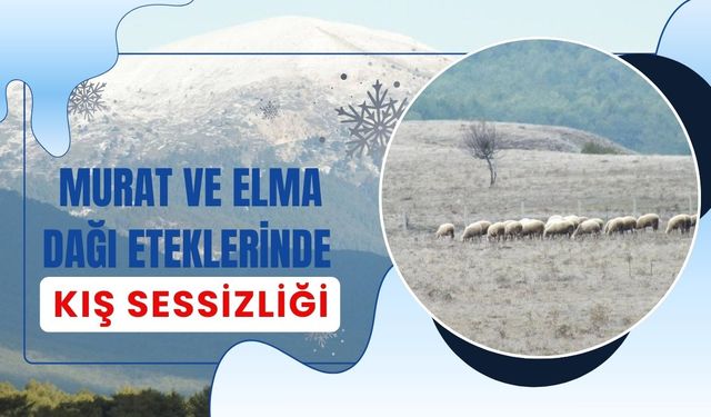 Murat ve Elma Dağı Eteklerinde Kış Sessizliği