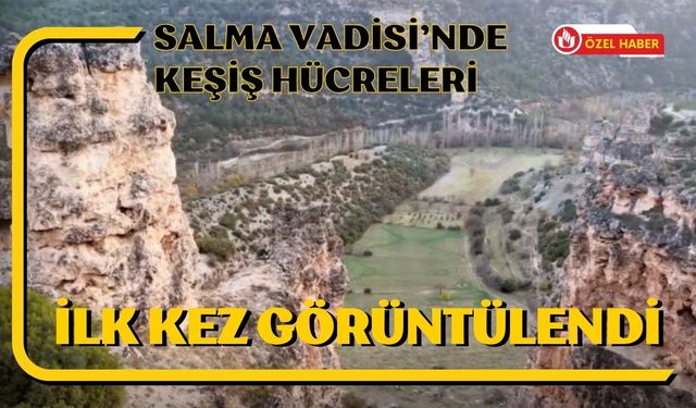 Salma Vadisi’nde Keşiş Hücreleri İlk Kez Görüntülendi