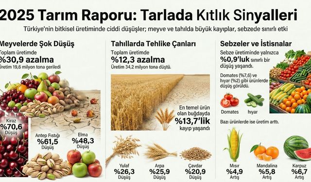 TÜİK Açıkladı, 2025’te Bitkisel Üretimde Sert Düşüş