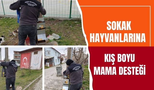 Sokak Hayvanlarına Kış Boyu Mama Desteği