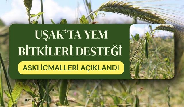 Uşak’ta Yem Bitkileri Desteği Askı İcmalleri Açıklandı