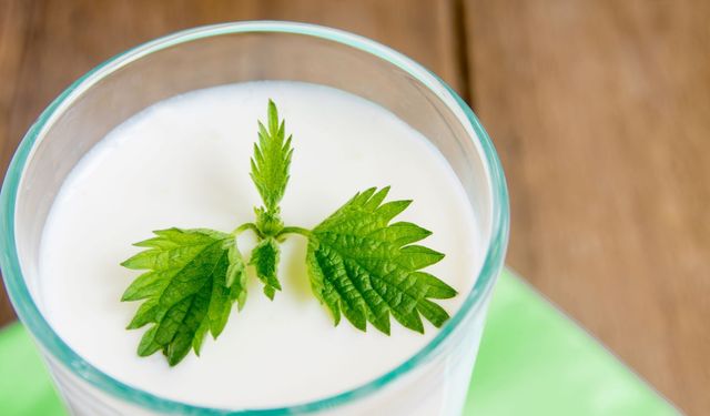 Süt Ürünleri Susuzlukla Mücadelede Etkili