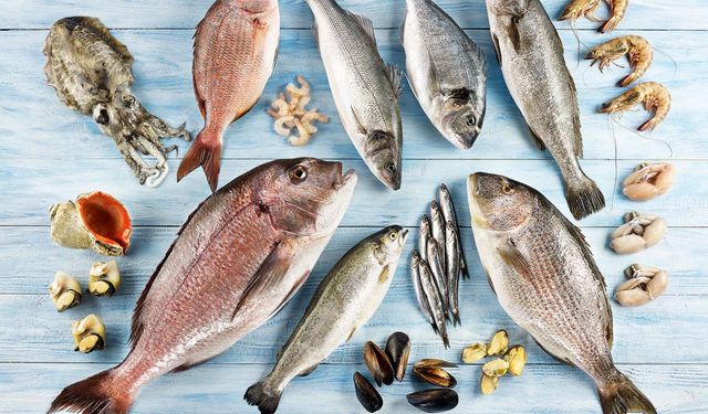 Türkiye Ocakta Balık İhracatını 207 Milyon Dolara Taşıdı