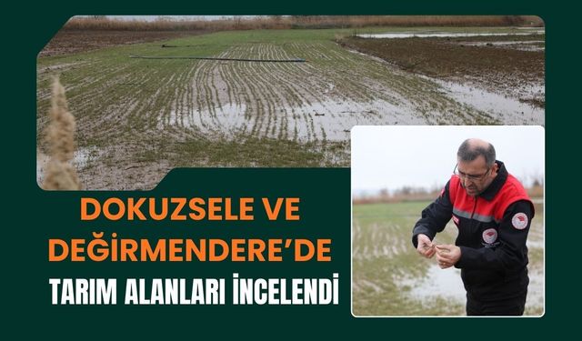 Dokuzsele ve Değirmendere’de Tarım Alanları İncelendi