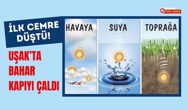 İlk Cemre Düştü! Uşak’ta Bahar Kapıyı Çaldı