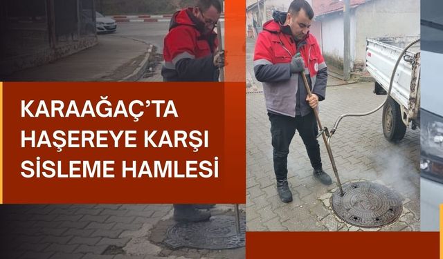 Karaağaç’ta Haşereye Karşı Sisleme Hamlesi