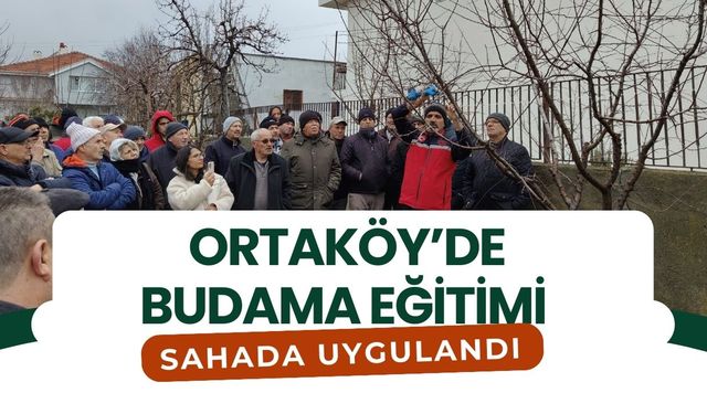 Ortaköy’de Budama Eğitimi Sahada Uygulandı