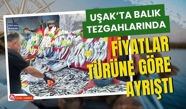 Uşak’ta Balık Tezgahlarında Fiyatlar Türüne Göre Ayrıştı