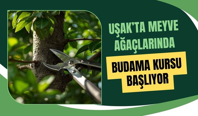 Uşak’ta Meyve Ağaçlarında Budama Kursu Başlıyor