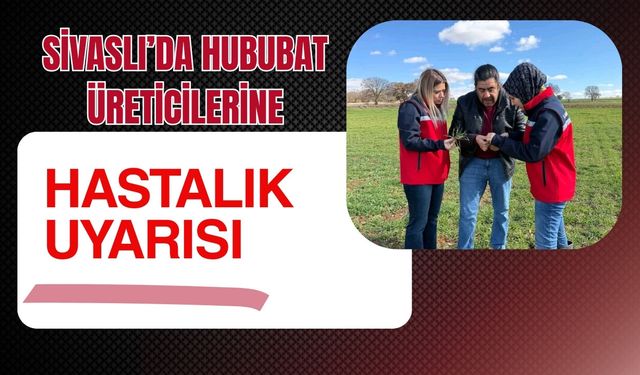 Sivaslı’da Hububat Üreticilerine Hastalık Uyarısı