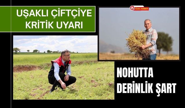 Uşaklı Çiftçiye Kritik Uyarı, Nohutta Derinlik Şart