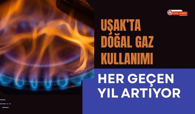 Uşak’ta Doğal Gaz Kullanımı Her Geçen Yıl Artıyor