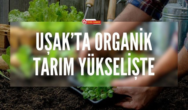 Uşak’ta Organik Tarım Yükselişte