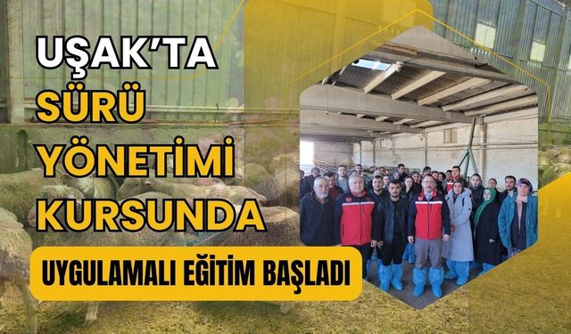 Uşak’ta Sürü Yönetimi Kursunda Uygulamalı Eğitim Başladı