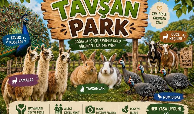 Ulubey’de Animal Cafe Kapılarını Açıyor