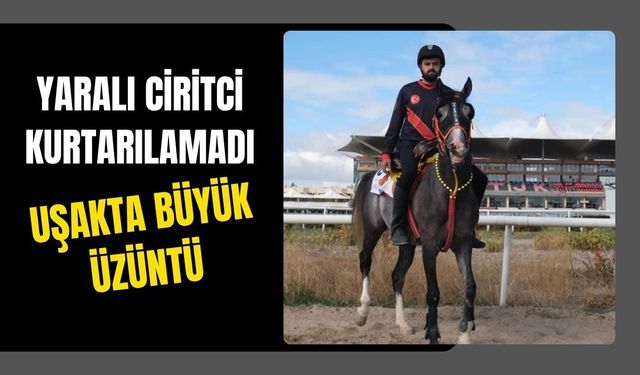 Yaralı Ciritci Kurtarılamadı: Uşak’ta Büyük Üzüntü