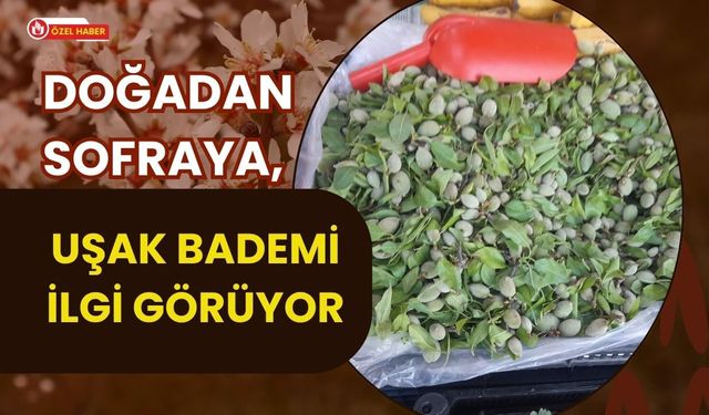 Doğadan Sofraya, Uşak Bademi İlgi Görüyor