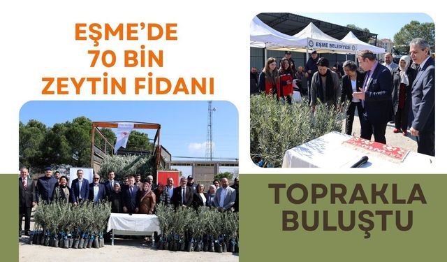 Eşme’de 70 Bin Zeytin Fidanı Toprakla Buluştu