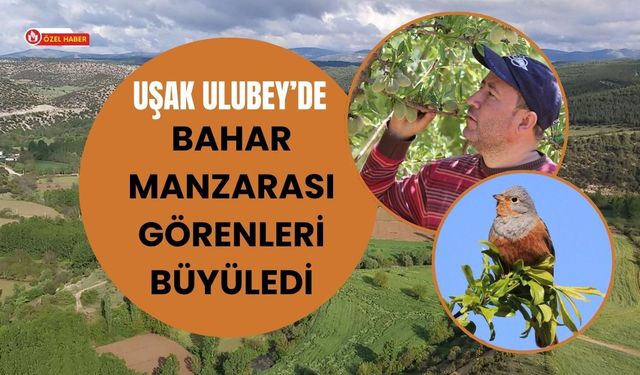 Uşak Ulubey’de Bahar Manzarası Görenleri Büyüledi