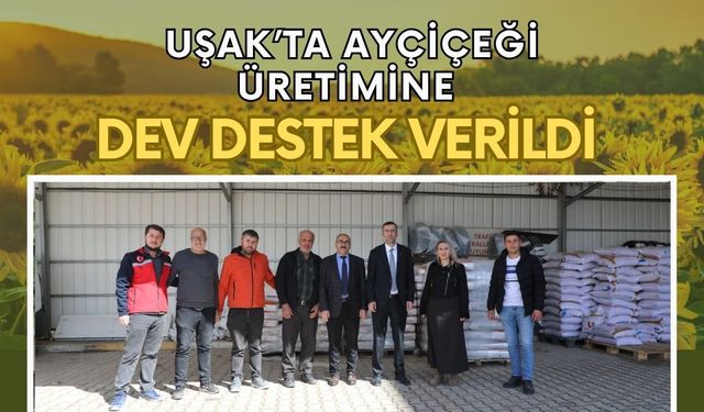 Uşak’ta Ayçiçeği Üretimine Dev Destek Verildi