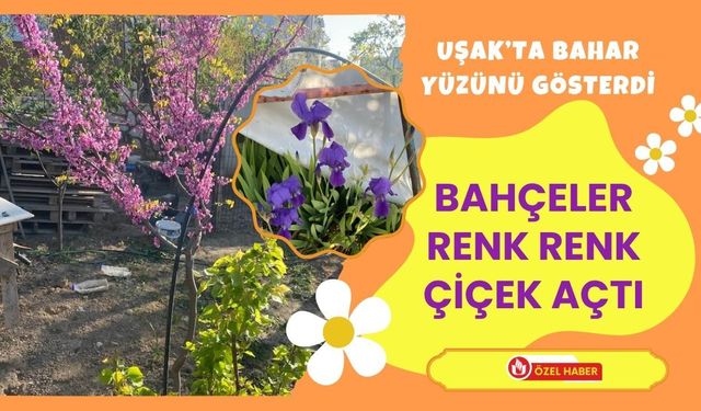 Uşak’ta Bahar Yüzünü Gösterdi: Bahçeler Renk Renk Çiçek Açtı