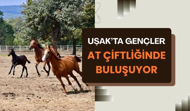 Uşak’ta Gençler At Çiftliğinde Buluşuyor